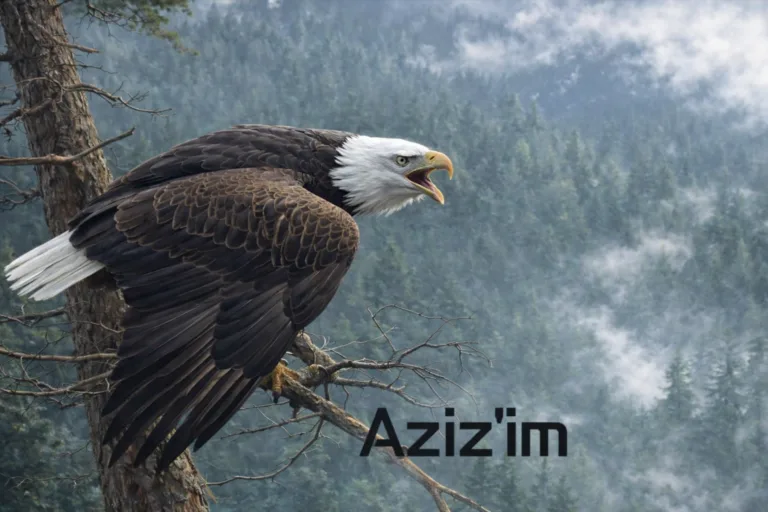 Aziz’im Şiiri – İbrahim Sevindik